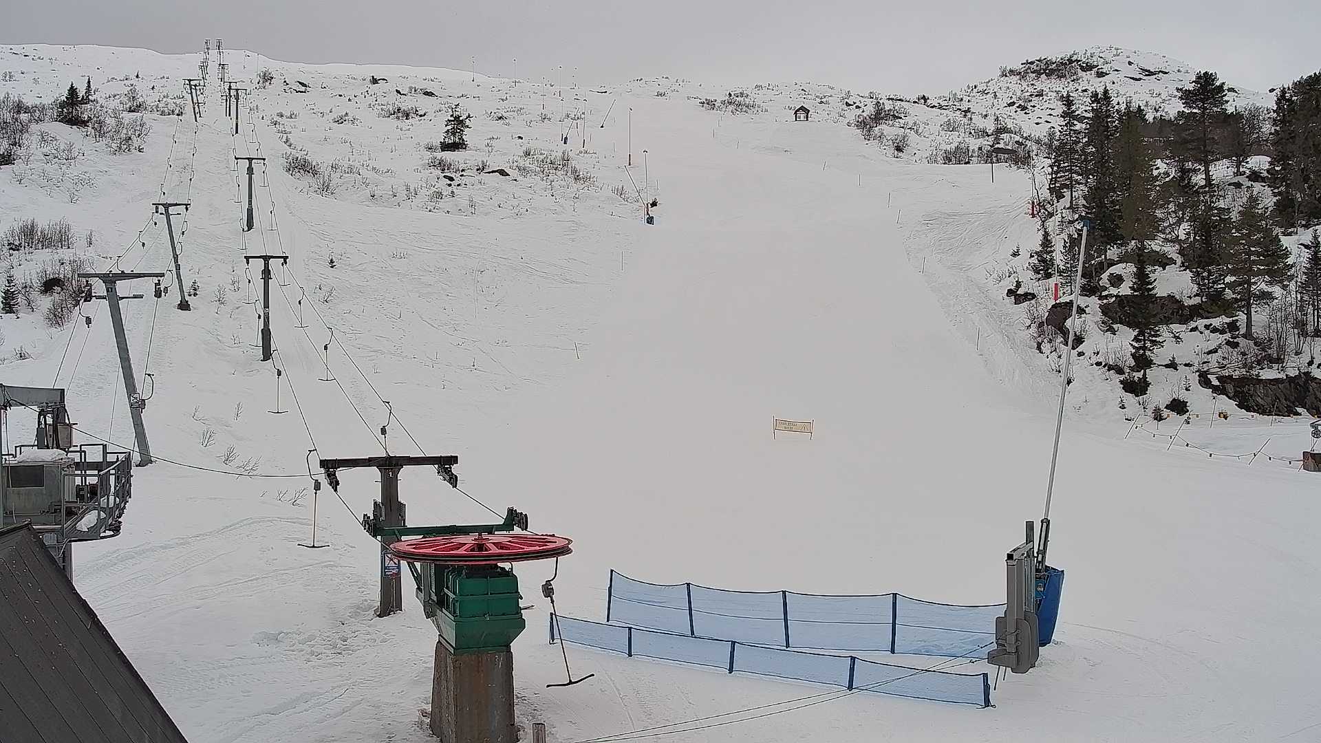 Snowcam